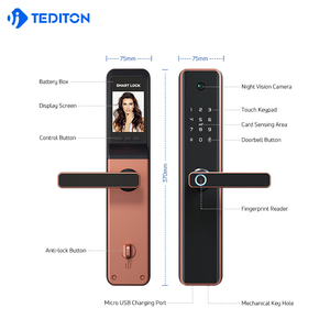 Tediton-cerradura de puerta de identificación facial, con código de huella dactilar, Rfid - Product Image 5
