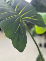 Plante artificielle de caladium vert style nordique, écologique, haute simulation, décoration intérieure, plante en pot pour fenêtre, 130-230 cm