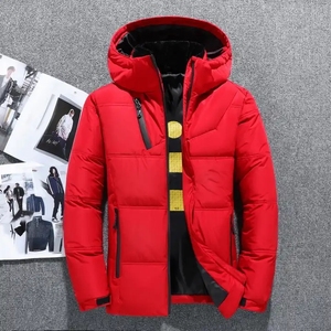 Abrigo acolchado de moda para <span class=keywords><strong>hombre</strong></span>, chaqueta de invierno, Abrigo con capucha, concha de <span class=keywords><strong>ganso</strong></span> de talla grande, estilo informal, cremallera, gran oferta - Product Image 5
