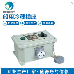 CZX220/220-24SD2 Caja de Enchufes Refrigerada Marina de Alto y Bajo Voltaje con 8 Tomas de Corriente y Enchufe CN para Contenedores Refrigerados Marinos - Product Image 2