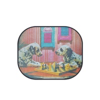 Pare-soleil pour vitres latérales de voiture, style professionnel, anti-UV, écologique, pliable