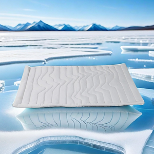 Petopia Draagbare Rechthoekige Koeling Roll Up Hond Campingbed Innovatieve Huisdier Comfort Slaapproducten Hondenbed Oem Mat 2025 - Product Image 1