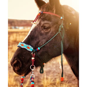 Hochwertiges Verstellbares Weiches Seilhalfter Gebisslose Zäumung Hackamore Pferdehalfter mit Diamant-Paracord-Umwicklung Geflochtenes Pferdehalfter - Product Image 1