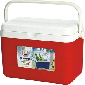 4L HOT SELLING MINI COOLER BOX