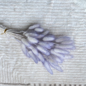 Vente en gros Queue de lapin conservée Fleur sèche Queues de lapin séchées <span class=keywords><strong>Lagurus</strong></span> Ovatus pour la décoration de mariage - Product Image 4