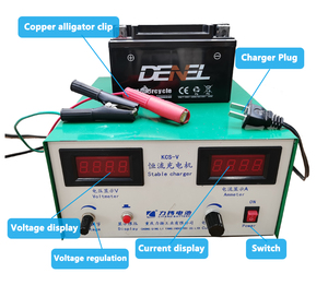 Chargeur automatique de batterie au plomb <span class=keywords><strong>DC</strong></span> PD ABS universel <span class=keywords><strong>Renogy</strong></span> 30a 50a <span class=keywords><strong>Dc</strong></span> à <span class=keywords><strong>Dc</strong></span> Chargeur de batterie double 12v W Reno Scenic Charger - Product Image 4