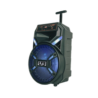 Altavoz Karaoke Portátil Inalámbrico de 12 Pulgadas para Cine en Casa, Luces LED RGB, Woofer Profundo, 2 Micrófonos, Salida de 20W, Integrado