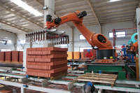 Robot Automático para Manipulación de Ladrillos Verdes para Carga en Secadoras con Cinta Transportadora y Pinza, Maquinaria para Fabricación de Ladrillos, Paletizador Automático de Ladrillos