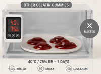 Gummies Complexe de Champignons 10-en-1 Marque Blanche, Supplément Végétalien OEM à Base de Mélange de Champignons pour le Bien-être Immunitaire et la Résilience Systémique