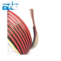 Câble Audio optique 10 calibre rouge positif noir négatif câble de haut-parleur fil