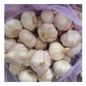 Ajo Fresco de Nueva Temporada 2026, Ajo Blanco Puro de 5.0cm, 5.5cm, 6.0cm, Grado Premium de Exportación, Proveedor Mayorista de Vegetales - Product Image 5