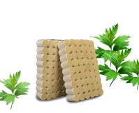 Boîte de cônes de moxibustion agrandis de 20*27 mm avec 54 bâtonnets de moxibustion vieillis, vente en gros de médecine chinoise