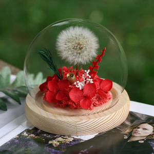 Preserved Dandelion <b>Glass</b> Dome Eternal Flowers Real Dandelion <b>Terrarium</b> Home Decor Ornaments Forever Flowers Personalized Gift - Product Image 1