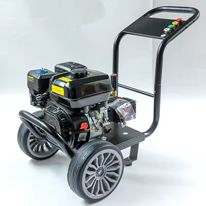 Idropulitrice a Benzina con <span class=keywords><strong>Pressione</strong></span> Regolabile, Portatile, 250 bar, 10 CV, 380V per l'Industria Alimentare - Product Image 4