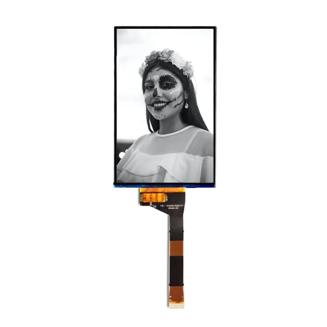 6 Inch Monochrome LCD Display 1620*2560 2K 50 Pin MIPI Interface 6.08 Inch MONO LCD Screen for 3D Printer