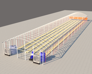 Estufa Comercial de Tomate África do Sul 8x40m | Estrutura de Aço Galvanizado + Painéis de Policarbonato - Product Image 2
