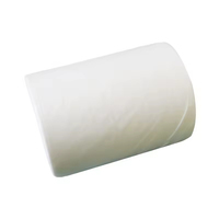 Fabrik-Lieferung TNT Vliesstoff Atmungsaktiver Vliesstoff 13g 18g Vliesstoff