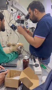 Microscope chirurgical vétérinaire Medcounty de vente superbe avec le microscope chirurgical de Drawtube binoculaire en métal d'acier doux - Product Image 2