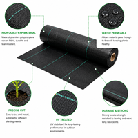Tapis anti-mauvaises herbes en PP noir et vert, résistant aux UV, tissu de couverture de sol robuste, fabricant