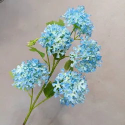 Blu-chiaro