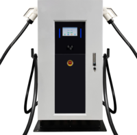Chargeur de stockage solaire DC à DC Station de charge de voiture EV 30-60kw double support de sol Chargeur EV