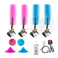 Machine de Révélation de Sexe TNT à Démarrage en un Clic, Stock en Gros, avec Poudre Rose ou Bleue, Effets Spéciaux Feux d'Artifice, Canon à Confettis et Vaporisateur pour Fête Prénatale