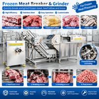 Broyeur industriel de blocs de viande 1500 kg/h, machine de traitement de viande congelée en palettes, trancheuse de viande congelée, raboteuse de beurre congelé