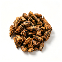Teh Hitam Bunga Lily Pertama 2026 Bentuk Pagoda, Yunnan Dian Hong Premium dengan Aroma Madu Bunga Lily Alami