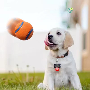 Pelota de entrenamiento al aire libre para perros, juguete interactivo para perros, juguete para morder para perros, juego canino activo, pelota interactiva para morder para perros - Product Image 1