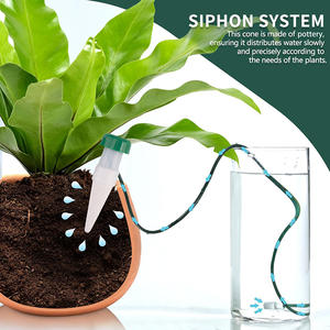 <span class=keywords><strong>Prix</strong></span> usine poterie jardin plante auto arrosage pointes fleur intérieur automatique système d'irrigation à libération lente pour plantes en pot - Product Image 5