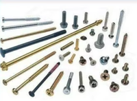 All Size Customized Special Head Stainless Steel Carbon Steel Screw Metal Custom Non Standard Screws and Fastener