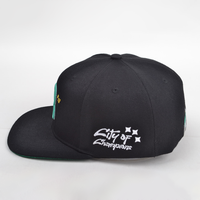 Casquettes de baseball brodées de football 2026, nouvelles casquettes de sport pour équipes sportives, casquettes vintage à visière plate