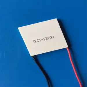40X40mm TEC112710 Thermoelectric Cooler Peltier Cooling And Heating Cycle Module For PCR