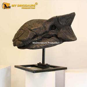 Crânes de dinosaure <span class=keywords><strong>Trex</strong></span> MY DINO, modèle en résine, cadre en acier, peinture acrylique, poudre de talc, résine, fibre de verre, tissu, taille réelle / personnalisé - Product Image 3