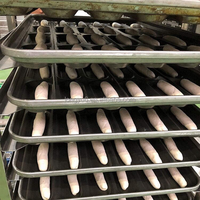 Ligne de production automatique de pain long à haute efficacité SV-209, machine à fabriquer des pains à hot-dogs, équipement de formage de baguettes américaines