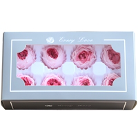 Rose éternelle Austin de qualité supérieure, collection 2026, pour mariage, fête des Mères, décoration et cadeau