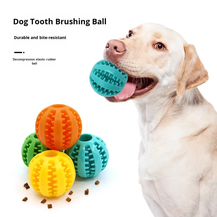 OEM ODM Indestructible Chew Pet Dog