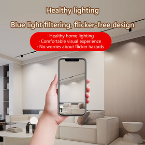 48V quang phổ đầy đủ dẫn chiếu sáng phong cách hiện đại cực kỳ hẹp từ theo dõi ánh sáng đường sắt trắng đen nhôm đèn cho phòng khách - Product Image 6