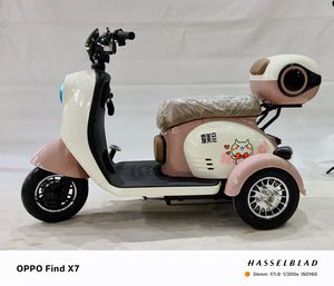 2025 nouvelle Standard femmes ramasser enfants Tricycle électrique avec siège enfant 48V 500W 3 roues Scooter électrique pour les adultes de la famille - Product Image 4