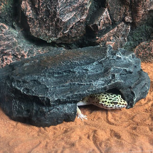 Reçine sürüngen gizlemek mağara yılan ve Gecko için, yeni tasarım kaya sürüngen <span class=keywords><strong>Reptile</strong></span> dekor outs outs - Product Image 3
