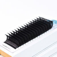 LashPlus Fournisseur 0.02 0.03 Boîte à cils en papier cachemire noir mat Plateaux à cils de marque privée Plateaux d'extension de cils en soie de cachemire