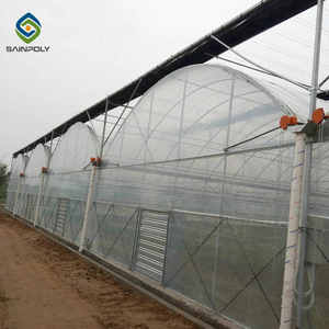 Tente de culture de plants de tomates clé en main serre hydroponique complète tuyau en acier - Product Image 3