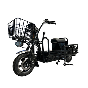 Vélo électrique de livraison classique 300 kg pour adultes, directement de l'usine de Wuxi, <span class=keywords><strong>prix</strong></span> abordable, batterie au lithium - Product Image 4