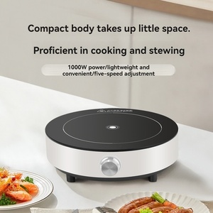 Fornello a Induzione Portatile da Esterno 1000W 5 Velocità per Auto, Viaggi, Campeggio, Dormitorio, Piccolo Hot Pot Compatto e Leggero Elettrico - Product Image 2
