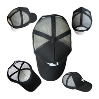 Casquette de baseball américaine pour hommes et femmes, profil bas, tactique, opérateur, logo personnalisé, nom, argyle, fruit, polyester/coton