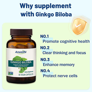 Suplemen Otak Herbal Ginkgo Biloba Himalaya OEM untuk Dukungan Fokus dan Daya Ingat Dewasa - Vegan Bebas Gluten 120mg <span class=keywords><strong>60</strong></span> Kapsul - Product Image 3
