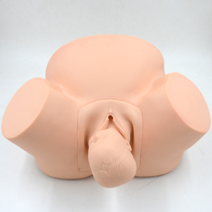 Maternité simulateur de soins infirmiers outil de formation au travail et à l'accouchement modèle d'accouchement réaliste mannequin de sage-femme pour les étudiants - Product Image 6