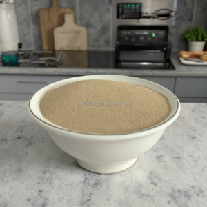 Di alta qualità lievito secco istantaneo ad alto contenuto di zucchero attivo 500g-5kg tipo di polvere <span class=keywords><strong>per</strong></span> il vino confezionato sacchetto di gonfiore del prodotto cinese fabbriche - Product Image 1