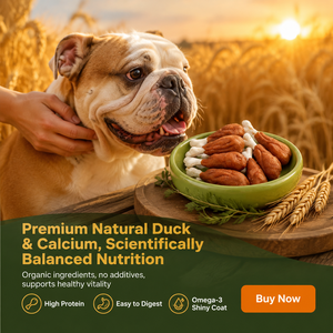 Nouvelles friandises pour chiens à base de poitrine de canard, riches en calcium, sans céréales, pour digestion sensible et à mâcher, riches en protéines - Product Image 6