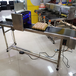 고효율 자동 코딩 시스템 대규모 농장 신선한 생산 마킹 데이트 계란 인쇄기 계란 프린터 - Product Image 4